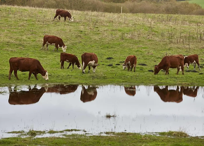 Gl. Avernaes Sinatur & Konference Hotel
